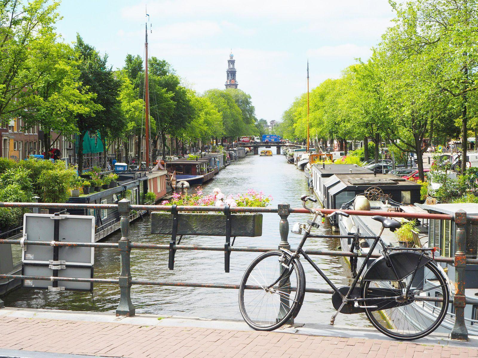 Image of the Wavee Global Netherlands eSIM